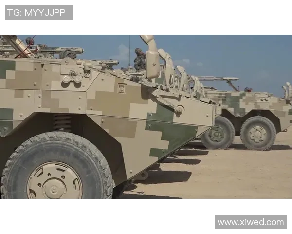 和平精英战术分析：RNG盯防策略的深度解读与实战应用