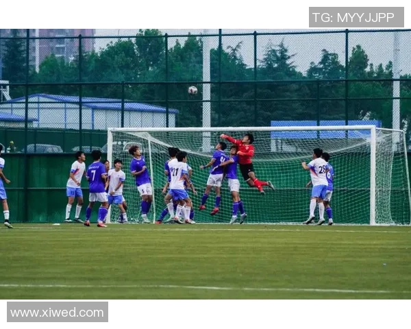 在绿茵场上挥洒汗水与激情体验上场踢足球的乐趣与魅力