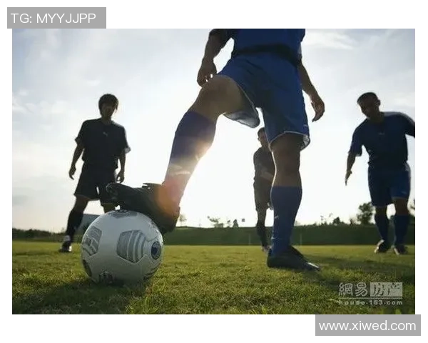 快乐踢足球儿歌让孩子们在欢声笑语中享受运动的乐趣与友谊