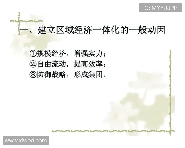 欧洲足球烧钱现象分析：背后的经济动因与未来发展趋势探讨