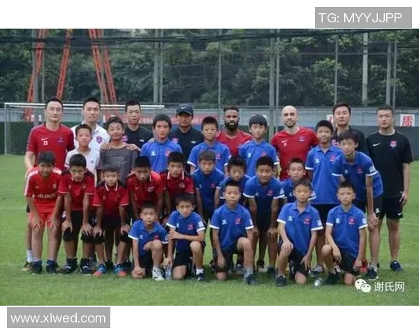 足球战果揭晓各队表现分析与未来赛季展望